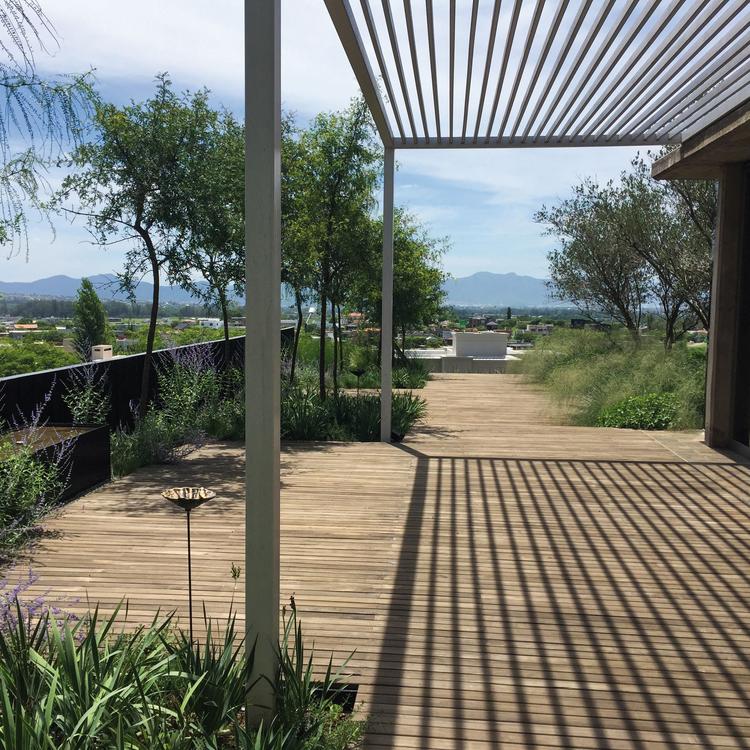 A garden located in the Province of Salta with a dazzling horizon.