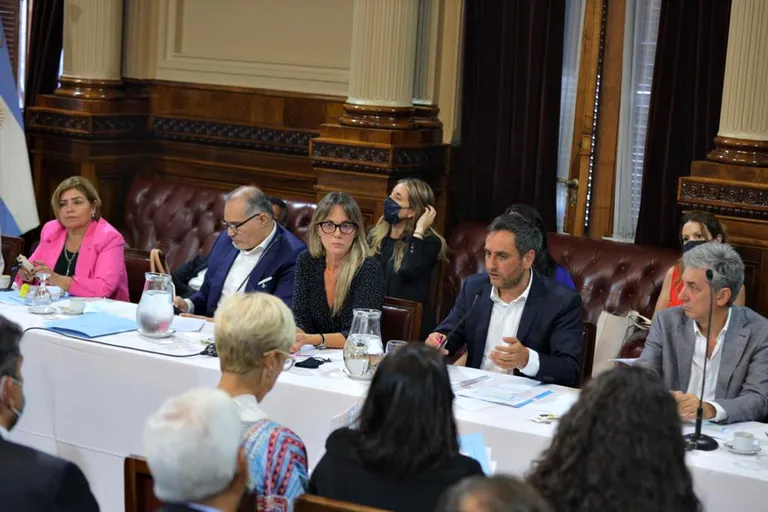 The Environment Commission of the Senate, with the participation of the Minister of Environment and Sustainable Development of the Nation, Juan Cabandié