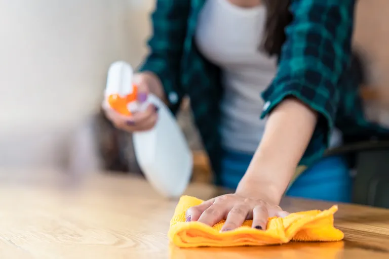 International Day of Domestic Workers: why it is celebrated today and what are the current claims