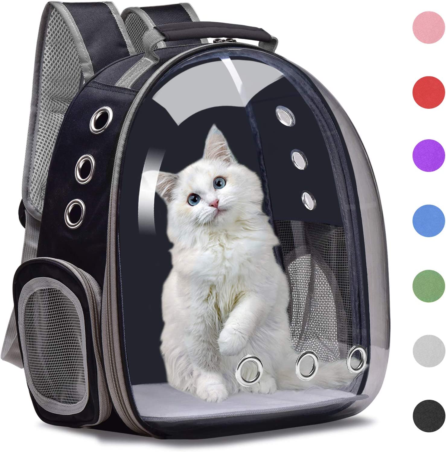 What to Look For in a Cat Backpack