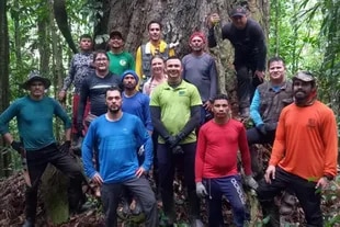In the fifth expedition they were able to reach the tree that measures more than 80 meters